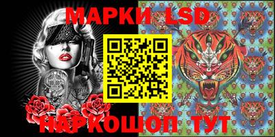 a pvp Славгород