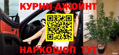a pvp Славгород